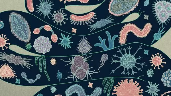Cartoon of various bacteria inside an intestine