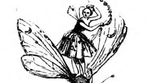 Fantastical illustration of a woman on a butterly 