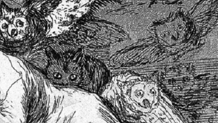 Detail from an engraving. The engraving shows a man asleep at a desk with dreamy owls swarming around his shoulders.