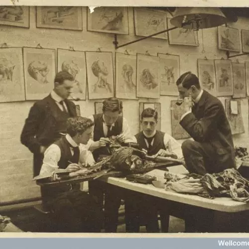 Early photograph of medical students