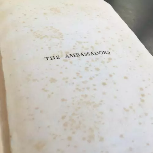 Title page of an old edition of Henry James's The Ambassadors