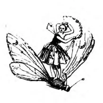 Fantastical illustration of a woman on a butterly 