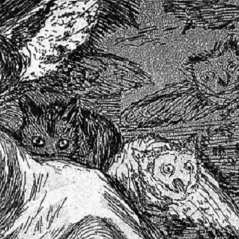 Detail from an engraving. The engraving shows a man asleep at a desk with dreamy owls swarming around his shoulders.